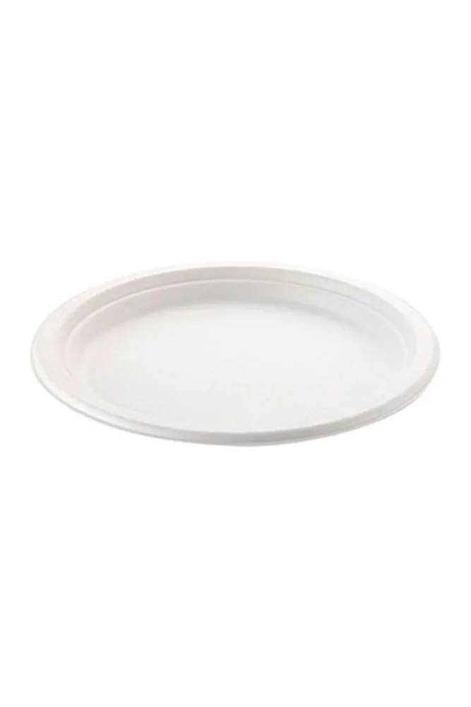 EKOLOJİK TABAK 22 CM